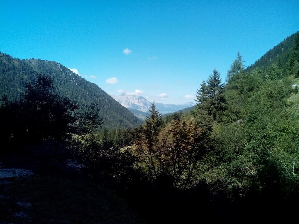 ホテル Gasthof Murauerhof Sankt Peter am Kammersberg エクステリア 写真