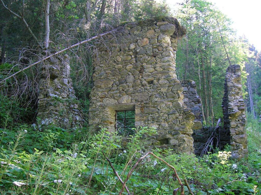 ホテル Gasthof Murauerhof Sankt Peter am Kammersberg エクステリア 写真